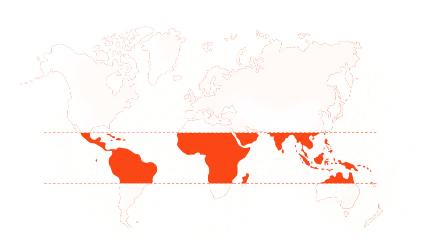 World map orange