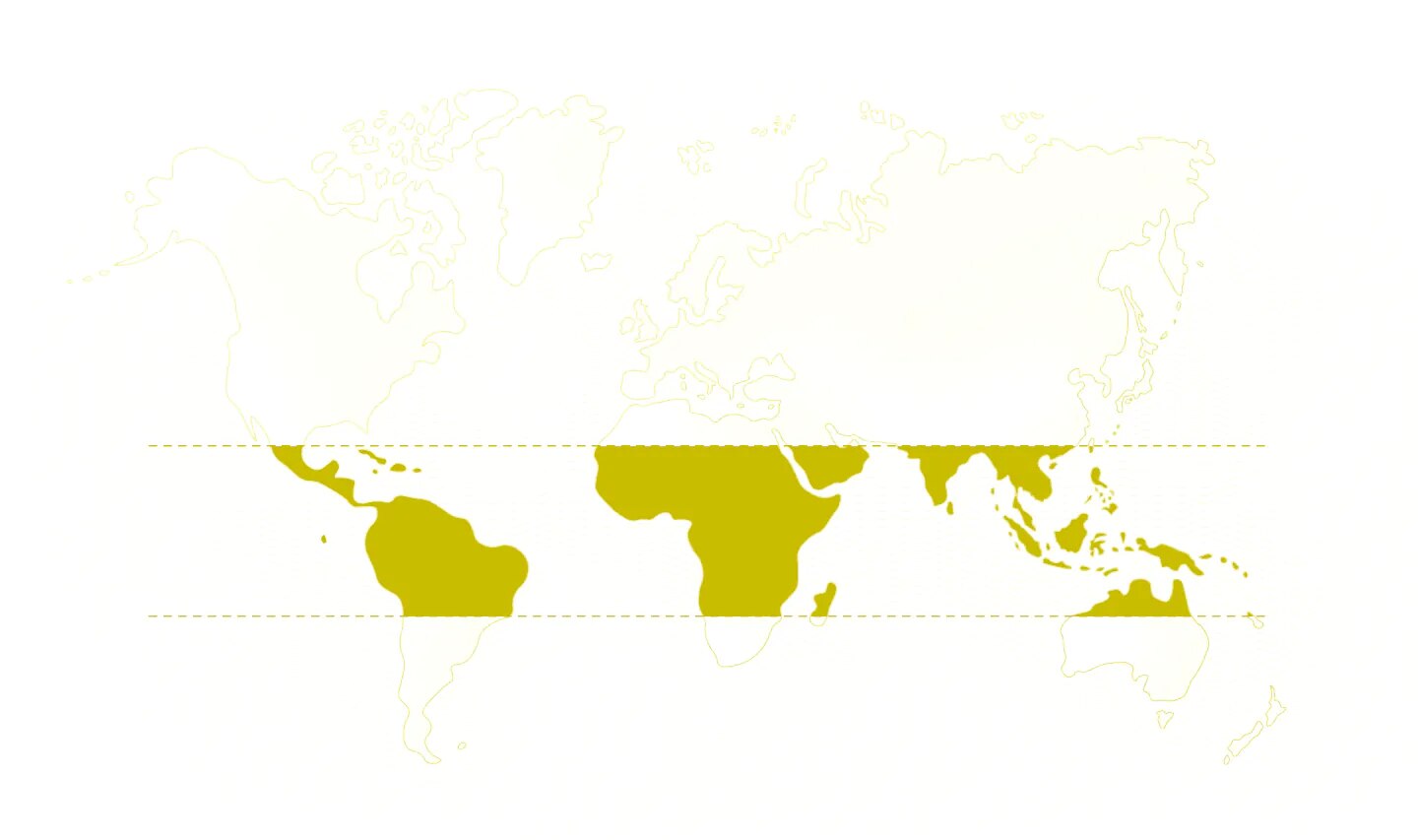 World map purple