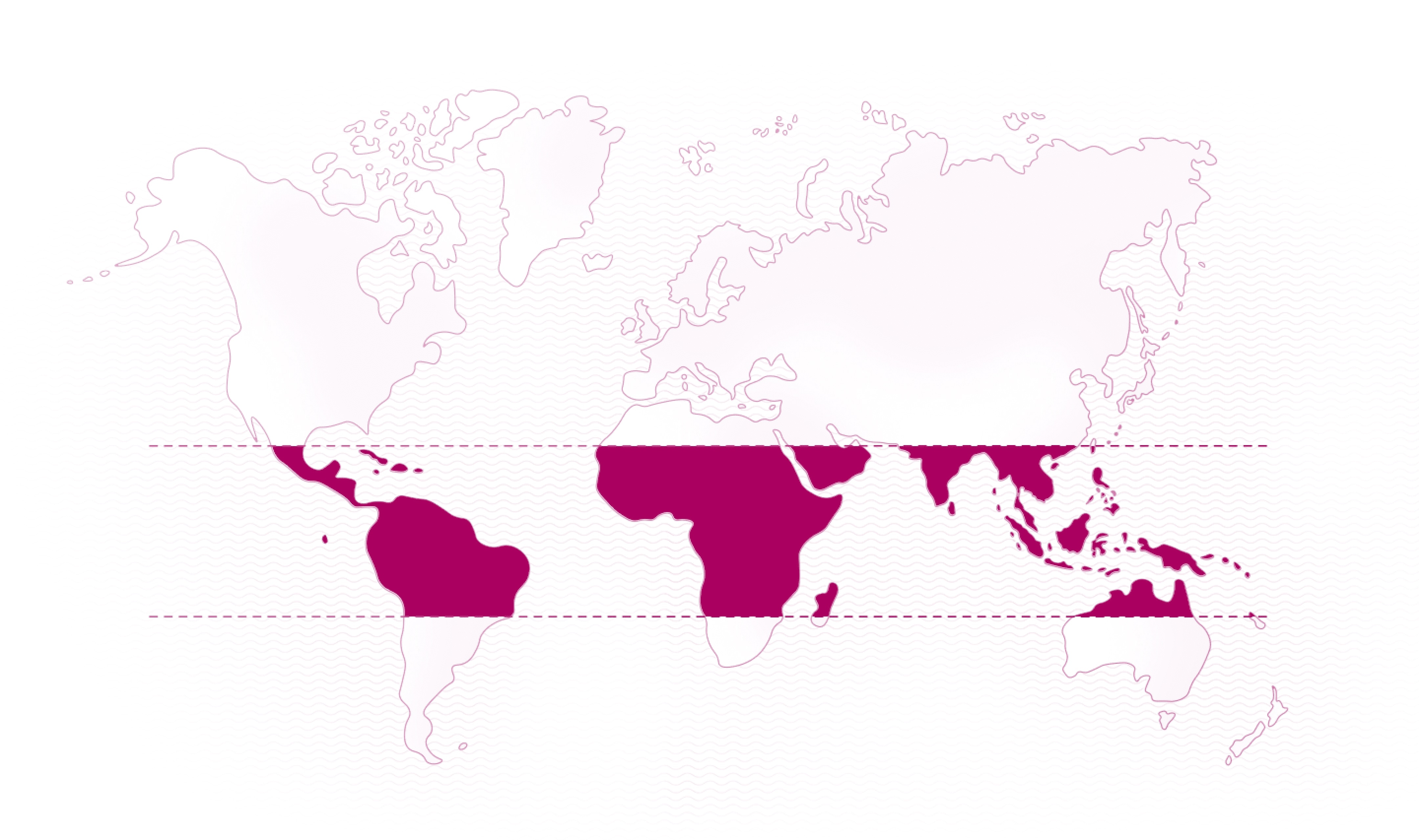 World map lilac